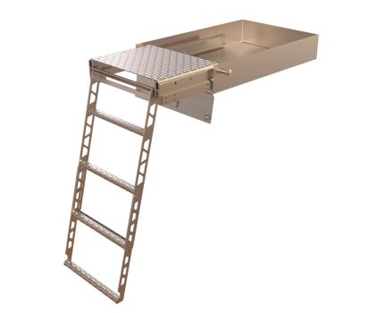 Access Steps - Slide Out