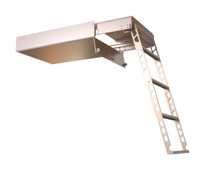 Access Steps - Slide Out